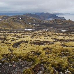 Utsikt ifrån sluttningen av Beerenberg, Jan Mayen