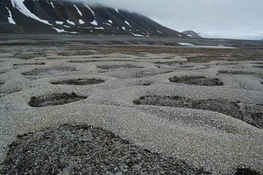 Sorted circles or patterned ground, permafrost features in the Linn-valley, Svalbard